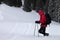 Hiker with ski poles makes his way on off-piste snowy slope in snow-covered forest at gray winter day after snowfall.