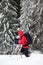 Hiker with ski poles makes his way on snowy slope in snow-covered forest at winter day after snowfall.