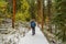 A hiker on a snow covered path through the woods
