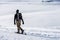 Hiker Snowshoeing in a Snowy Winter Landscape - Lessinia Plateau Veneto Italy