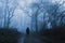 A hiker standing on a muddy, path through a spooky, eerie forest. On a mysterious foggy, winters day
