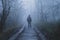 A hiker standing in a spooky forest. On a eerie, foggy winters day
