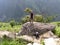 Hiker standing on stone