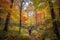 hiker, surrounded by towering trees and colorful foliage, on a serene autumn forest hike