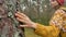 Hiker in sweater runs hand on pine tree trunk walking around