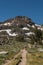 Hiker on trail at Carson Pass, CA - Portrait orientation