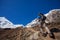 Hiker on the trek in Himalayas