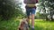 hiker trekking. girl tourist walks on the grass in the forest park with a backpack legs close-up next to the faithful