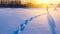 Hiker walk among a snowbound plain at the sunset