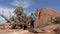 Hiker walks through the desert among orange rocks stops and looks around