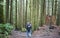 Hiker on the West Coast Trail, BC