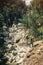 Hiker in the wild nature on the trail to Tahtali mount