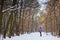 Hiker in winter forest. Sport, inspiration and travel