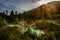 Hiker woman admires Ink Pots, Banff Alberta. Rain-kissed landscapes come alive in a dance of colors. Verdant meadows and crystal-