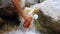 Hiker woman collecting clear water into the plactic bottle from waterfall in the forest. HD slowmotion.