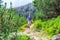 Hiker woman at High Tatras, Slovakia