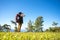 Hiker woman look binoculars on the mountain, background blue sky