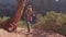 A Hiker Woman Walks On Trekking Footpaths The Red Rocks Of The Zion Canyon