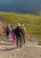 Hikers along the Trail Glacier National Park