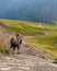 Hikers along the Trail Glacier National Park