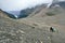 Hikers on the alpine trail in the Canadian Rockies along the Icefields Parkway between Banff and Jasper