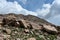 Hikers ascending summit trail on Mount Evans, Colorado.