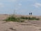 Hikers atop Enchanted Rock, Texas