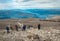 Hikers on Ben Nevis, in Scotland.