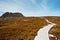 Hikers on the boardwalk. Cradle Mountain National Park, Tasmania