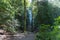 Hikers in cedar rainforest viewing Bridal Veil Falls