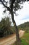 Hikers in Cerro Muriano, Province of Cordoba, Andalusia, Spain