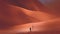 Hikers climb up to the red desert