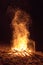 Hikers crowd around a beach bonfire at the end of the heaphy trail on New Zealands West Coast.