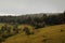 Hikers in the dense Kinale Forest, Kijabe