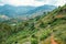 Hikers on a dirt hiking trail on the Bondwa Peak Trail in Uluguru Mountains in Morogoro Region, Tanzania