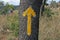 HIKERS FOLLOWING YELLOW ARROW ON TRAIL