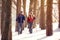 Hikers in forest on winter