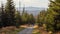 Hikers on a hike in a forrest, Sumava National Park