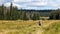 Hikers on a hike in a mountain meadow, Sumava National Park