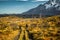 Hikers Hiking Torres Del Paine National Park Patagonia Chile people hike grassland Los Cuernos view nature plants in yellow orange