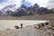 Hikers at the Laguna Torre at the Los Glaciares National Park, Argentina