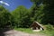 Hikers Refuge In A Beech Forest