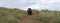 Hikers at Sandwood Bay, Highlands of Scotland. Remote bay with white sand, dunes and reeds.