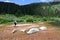 Hikers in shallow water on Hassell Lake Trail in Arapaho Nat'l Forest, Colorado.