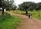 Hikers on the Sierra de Aracena Natural Park, Huelva, Spain