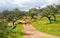 Hikers on the Sierra de Aracena Natural Park, Spain