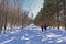 Hikers in snow covered Mont Saint Bruno national park in Quebec