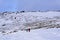 Hikers on the snow-covered mountain road