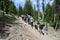 Hikers on the Tam McArthur Rim Trail near Sisters, Oregon.