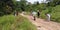 Hikers in Tengah forest